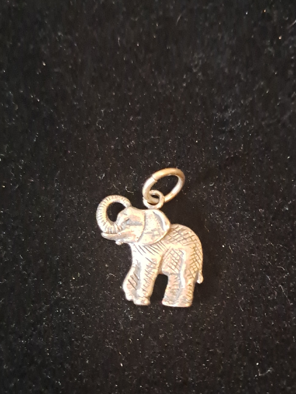 Vintage Sterling Zoo Charm